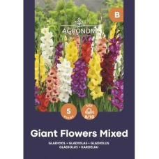 Гладиоли Гигант Микс Giant Flowers Mix - 5 бр луковици