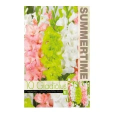 Гладиоли Микс Сьомга-Зелена-Бяла Gladiolus L - 10 бр луковици
