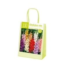 Чанта с Гладиоли Микс XL Gladiolus - 100 бр луковици