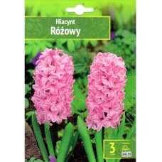 Зюмбюл Източен Розов Hyacinthus orientalis Rozowy - 3 бр луковици