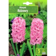 Зюмбюл Източен Розов Hyacinthus orientalis Rozowy - 3 бр луковици