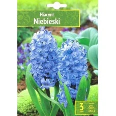 Зюмбюл Източен Небесен Hyacinthus Niebieski - 3 бр луковици