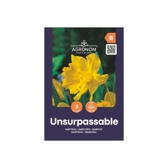 Нарцис Ненадминат Narcissus Unsurpassable - AGRONOM - 3 бр луковици