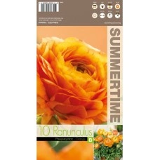 Лютиче Оранжево Ranunculus Orange - 10 бр луковици