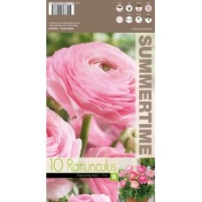 Лютиче Розово Ranunculus Pink - 10 бр луковици