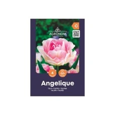 Лале Анжелик Tulip Angelique - AGRONOM - 4 бр луковици