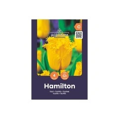 Лале Хамилтън Tulipa Hamilton - AGRONOM - 4 бр луковици