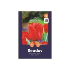 Лале Сеадов Tulipa Seadov - AGRONOM - 4 бр луковици
