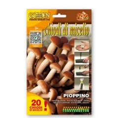 Мицелови дибли за Тополова гъба (Cyclocybe cylindracea Cyclocybe aegerit ) - 20 бр