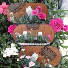 Комплект Саксия (Кашпа) с куки 39 см + Карамфилчета