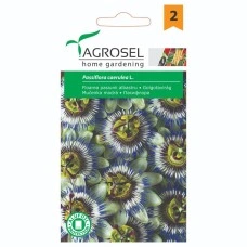 Пасифлора Passiflora caerulea L