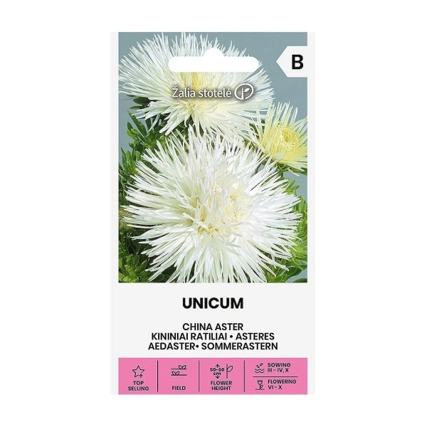 Астри Бели Игловидни Уникум Callistephus chinensis L Ness Unicum