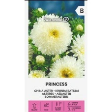 Астри Бяла Принцеса  Callistephus chinensis L Ness Princess
