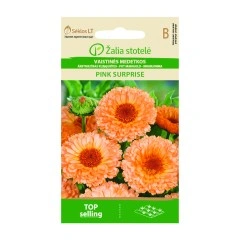 Медицински Невен Pink Surprise Calendula officinalis L.