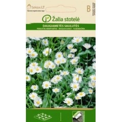Бели Парички Bellis perennis