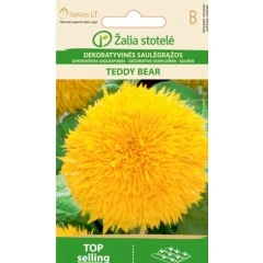 Хелиантус (Слънчоглед) Жълт Мече Helianthus annuus