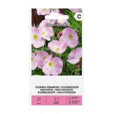 Вечерна Иглика Розова Oenothera speciosa