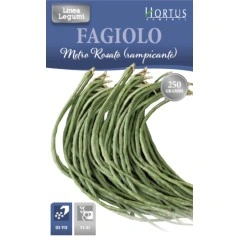 Фасул на метър (Увивен) тип Аспержов фасул Fagiolo metro rosato