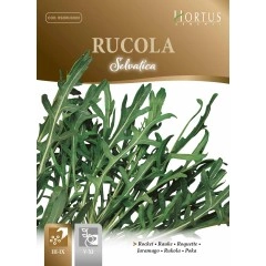 Дива Рукола Rucola Selvatica