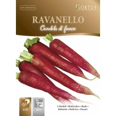 Репички Дълги Candela di fuoco