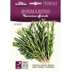 Семена от Розмарин