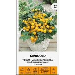 Чери домати Балконски Миниголд Minigold