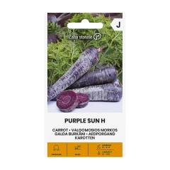 Моркови Лилаво слънце F1 Daucus carota Purple sun H