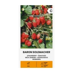 Ягоди Барон Солемахер Fragaria vesca Baron Solemacher
