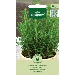 Розмарин Rosmarinus Officinalis