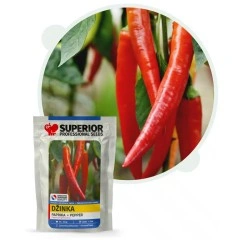 Пипер Лясковачка джинка - люти чушки