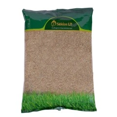 Райграс Темпрано Temprano