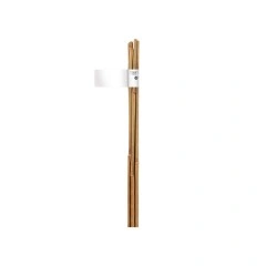 Бамбукови колове колци