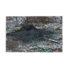 Капан - мрежа за птици