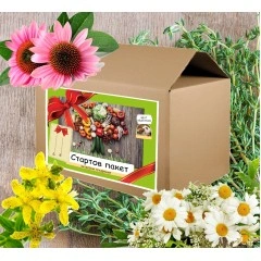 Билков имунитет - подаръчен пакет с игра за всяко любопитно хлапе