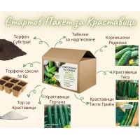 Стартов пакет за ценителите на вкусните Краставици