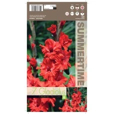 Гладиоли Fire Cracker Gladiolus L - 7 бр луковици