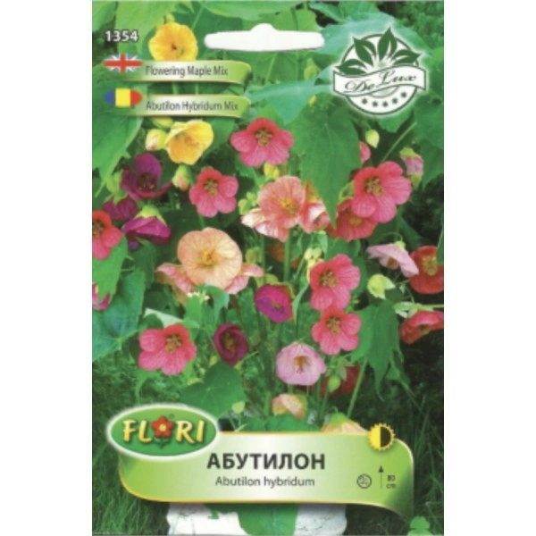 Абутилон (Стаен клен) микс Abutilon hybridum mix