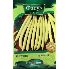 Фасул Берголд (жълт, цилиндричен, нисък)