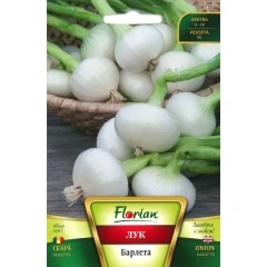 Лук Барлета