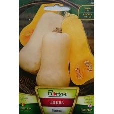 Тиква Виола гладка