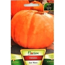 Тиква Биг Макс - гигант