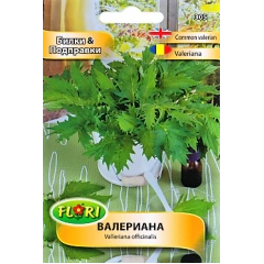 Валериана Valeriana officinalis