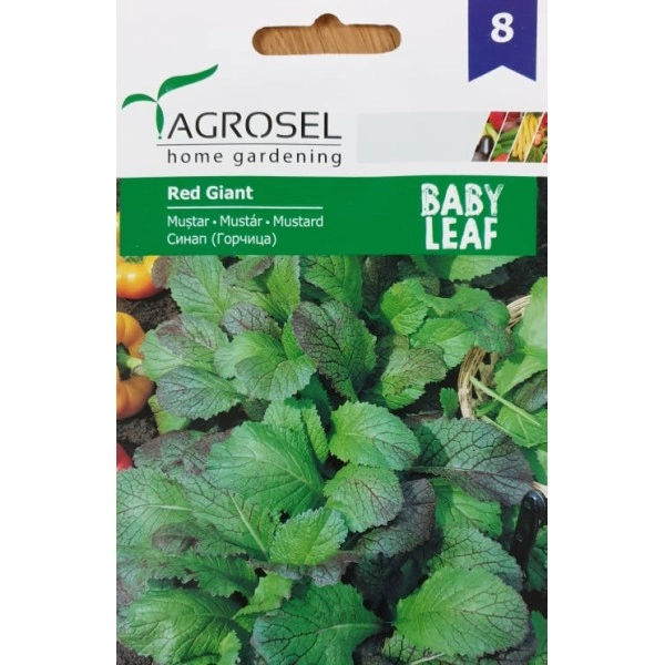 Бейби семена за Синап (горчица) - микро растение
