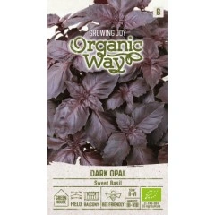 Органик Босилек Тъмен Опал Ocimum basilicum