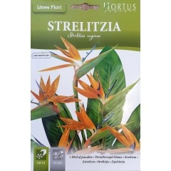 Стрелиция (Райска птица) Strelitzia reginae