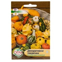 Декоративни тиквички микс Cucurbita pepo ornamental