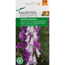 Дигиталис (Напръстник) Микс Digitalis pirpurea