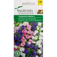 Кампанула Микс Campanula medium