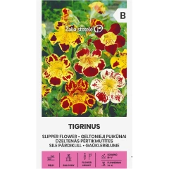 Мимулус Микс Tigrinus Mimulus luteus