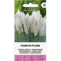 Пампаска трева Бяла Cortaderia selloana Pampas plume